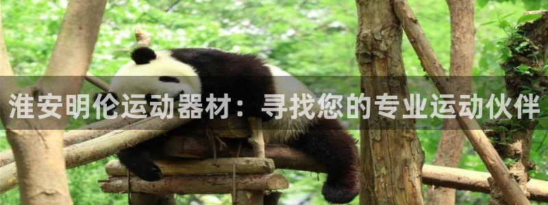 NG大舞台官方正版app官网：淮安明伦运动器材：寻找您的专业