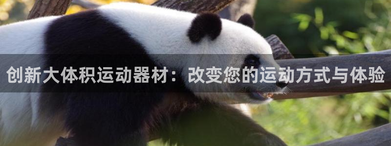 NG大舞台官方正版app娱乐网站：创新大体积运动器材：改变您