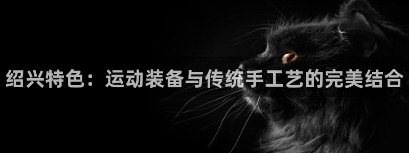 NG大舞台官网下载招商：绍兴特色：运动装备与传统手工