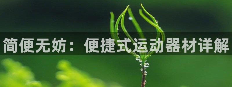 NG大舞台官方正版app集团logo：简便无妨：便捷式运动器