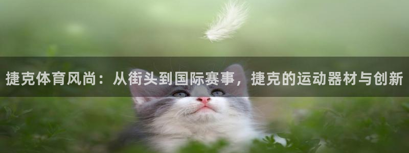 NG大舞台官方集团官网：捷克体育风尚：从街头到国际赛事，捷克