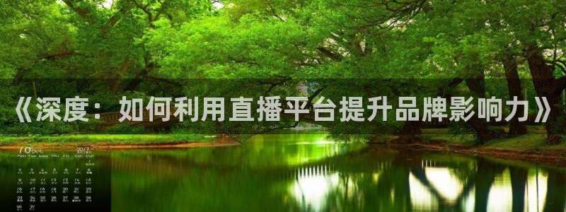 袋鼠体育直播看球：《深度：如何利用直播平台提升品牌影响力》