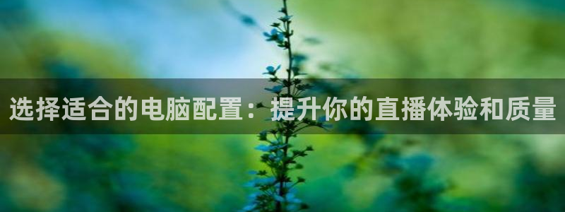 袋鼠体育直播：选择适合的电脑配置：提升你的直播体验和质量
