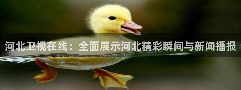 袋鼠足球直播：河北卫视在线：全面展示河北精彩瞬间与新闻播报