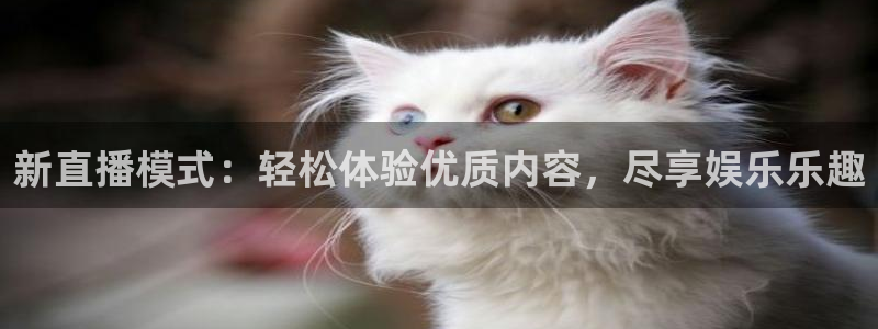 袋鼠体育免费观看：新直播模式：轻松体验优质内容，尽享娱乐乐趣