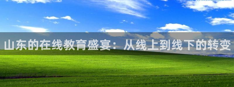 袋鼠直播体育免费观看入口：山东的在线教育盛宴：从线上到线下的转变