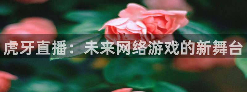 袋鼠直播nba：虎牙直播：未来网络游戏的新舞台