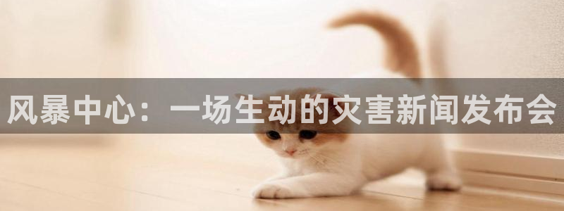 袋鼠直播nba在线观看：风暴中心：一场生动的灾害新闻发布会
