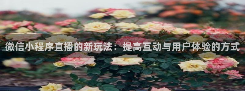 袋鼠直播体育app：微信小程序直播的新玩法：提高互动与用户体验的方式