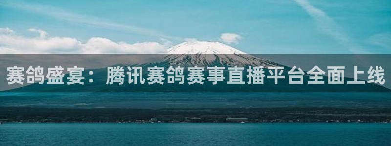 袋鼠直播体育在线直播：赛鸽盛宴：腾讯赛鸽赛事直播平台全面上线