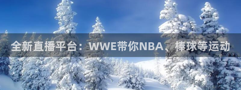 袋鼠体育直播在线观看免费：全新直播平台：WWE带你NBA、棒球等运动