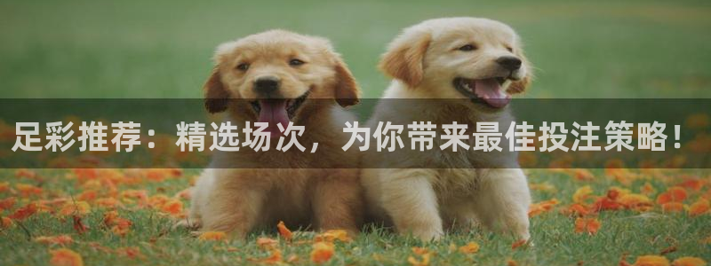 足球直播袋鼠：足彩推荐：精选场次，为你带来最佳投注策略！