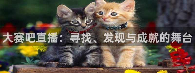 袋鼠直播看nba比赛：大赛吧直播：寻找、发现与成就的舞台