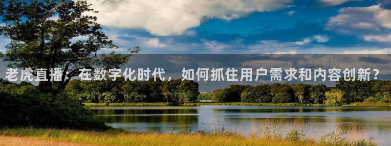 袋鼠在线直播体育：老虎直播：在数字化时代，如何抓住用户需求和内容创新？