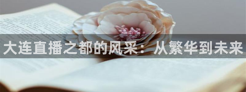 袋鼠直播在线播放：大连直播之都的风采：从繁华到未来